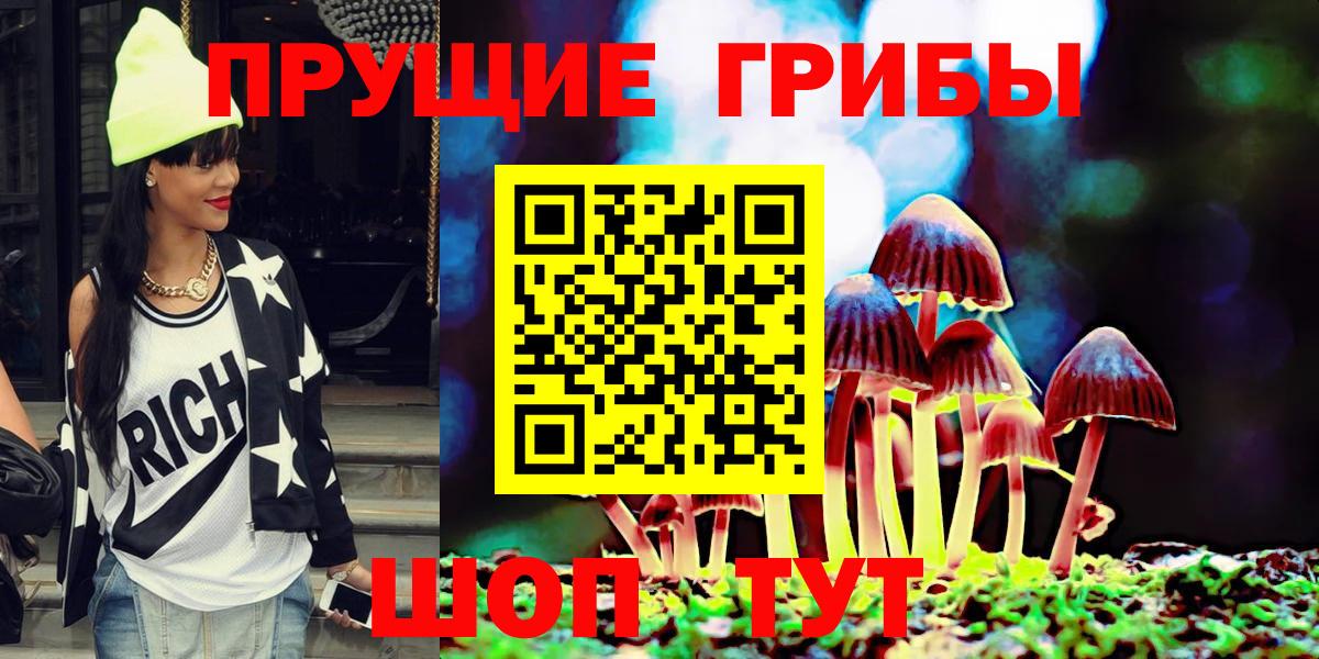 APVP Воркута