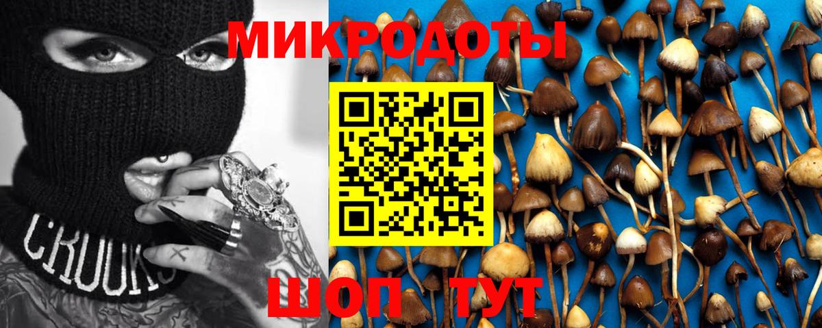 Воркута  Галлюциногенные грибы мицелий  Вход с VPN 